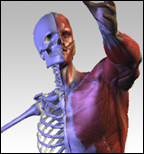 3D Facial X-pression Studio